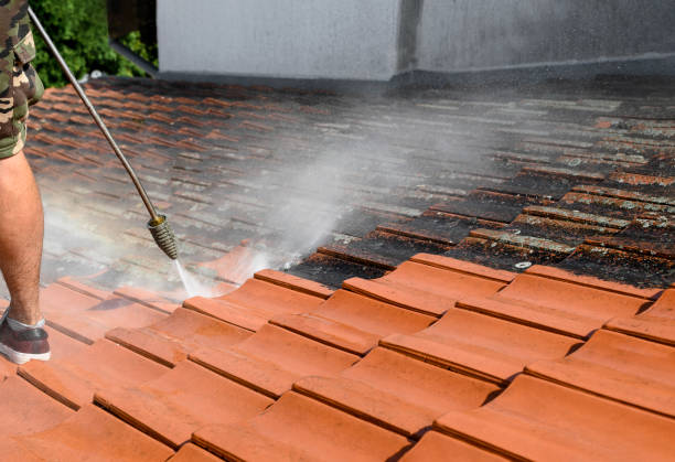 Best Concrete Pressure Washing  in Darnestown, MD