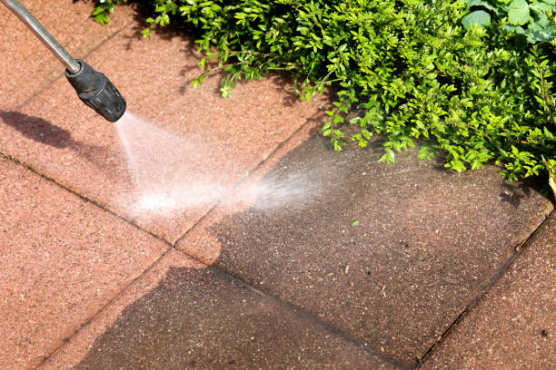 Best Pressure Washing Driveway  in Darnestown, MD